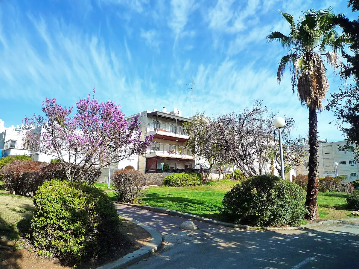 A street with lawns, palms and flowering trees in Avnei HaChoshen