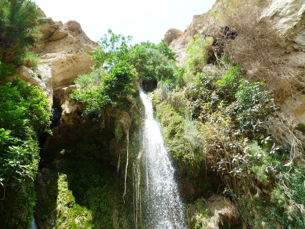 A waterfall in Nahal David at Ein Gedi
