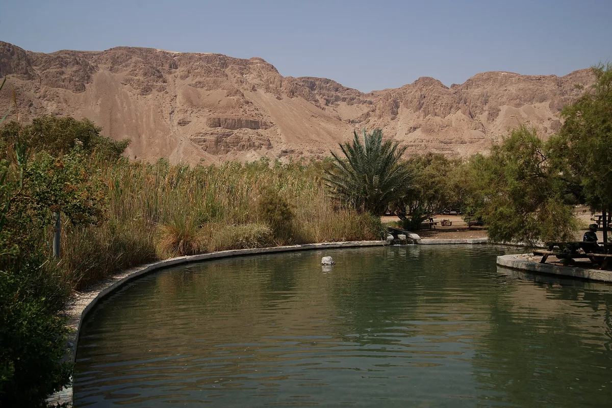A spring-fed pool among palms and reeds at Einot Tzukim, below the cliffs