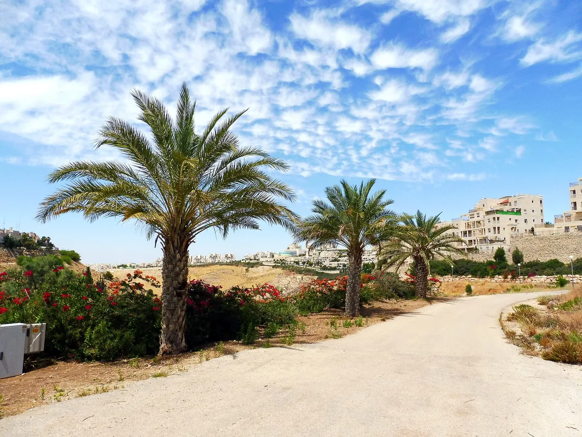 A path lined with palm trees in the Family Park (Park HaMishpacha)